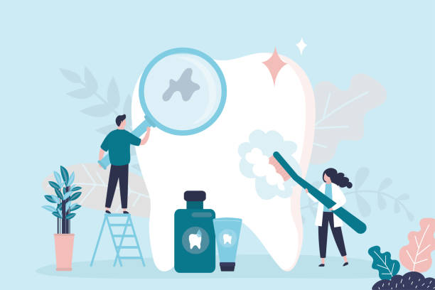 Best Preventive Dentistry  in Hampton, SC